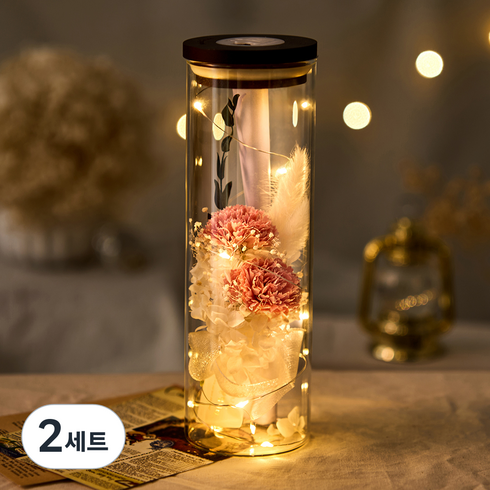 뮤니드 그레이스 카네이션 LED 유리병 레터 세트, 스텐다드 핑크, 2세트