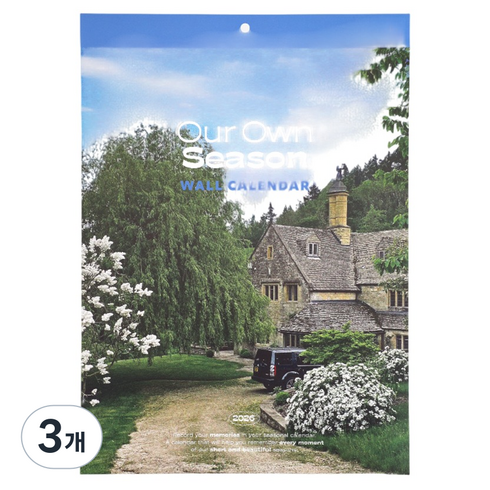 dailylike 2026 아워오운시즌 월 캘린더, 혼합색상, 3개