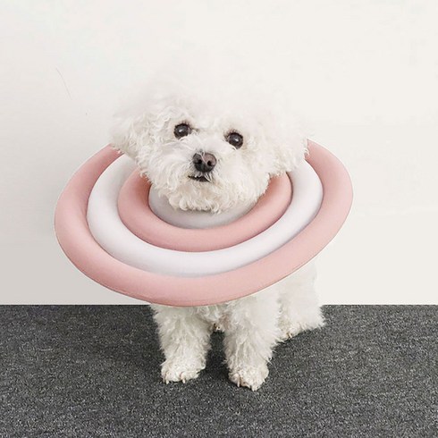 딩동펫 반려동물 초경량 넥카라, 핑크, 1개