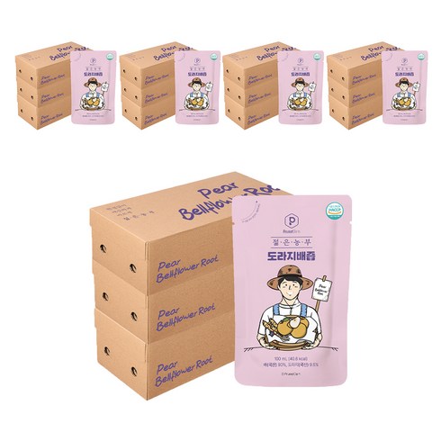 푸릇담 젊은농부 도라지배즙, 3L, 15개