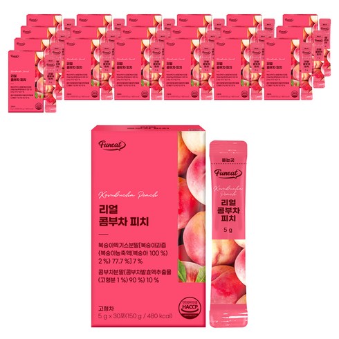 퍼니트 리얼 콤부차 피치맛, 150g, 20개