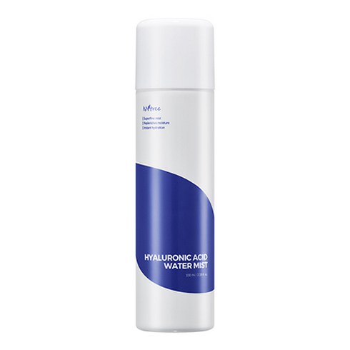 이즈앤트리 히아루론산 워터 미스트, 100ml, 1개