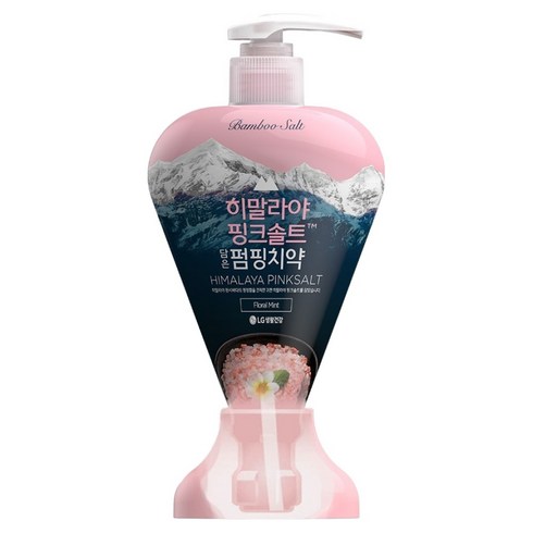 죽염 히말라야 핑크솔트 담은 펌핑 치약 플로럴민트, 285g, 1개