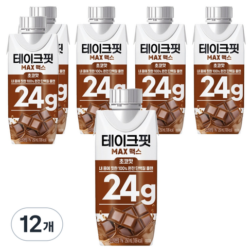 테이크핏 맥스 내 몸에 핏한 단백질 플랜 초코맛, 250ml, 12개