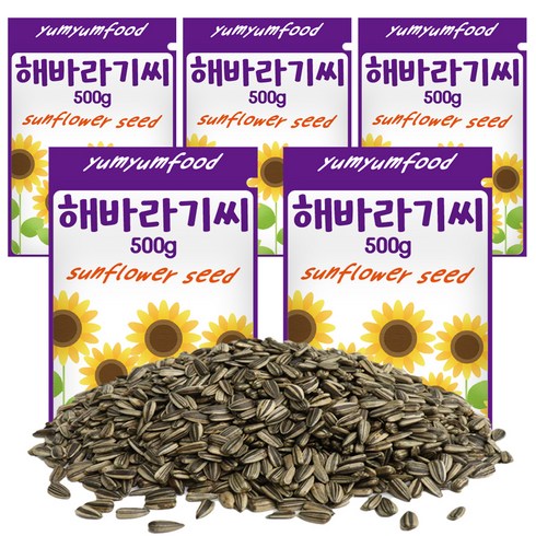 리프패럿 냠냠푸드 소동물 해바라기씨, 500g, 5개