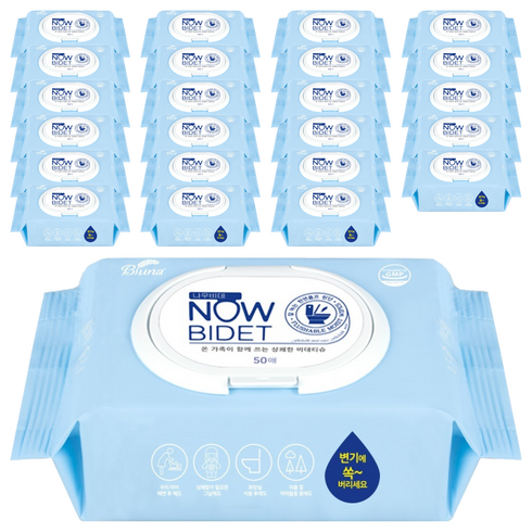 블루나 나우비데 물티슈 캡형, 60g, 50매, 24개