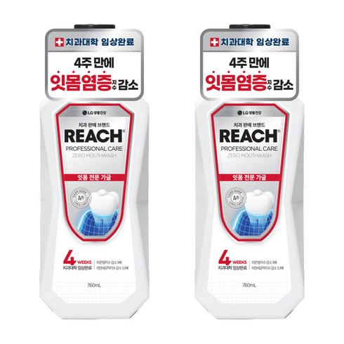 리치 프로페셔널 잇몸 전문 제로 구강청결제, 760ml, 2개