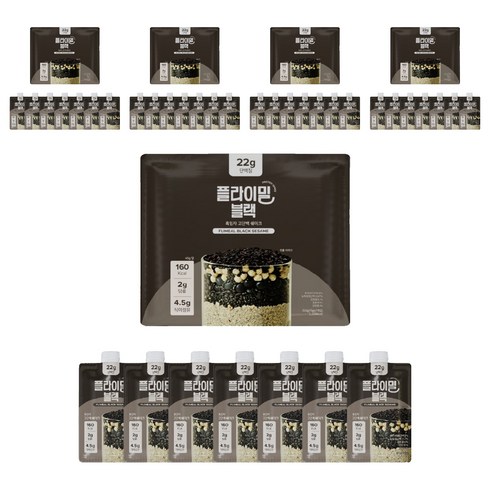 플라이밀 단백질 쉐이크 블랙, 45g, 35개
