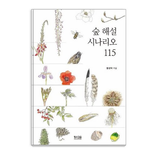 숲 해설 시나리오 115 (개정판), 황경택, 황소걸음