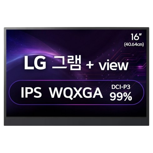LG전자 WQXGA 그램 +View 모니터, 40cm, 16MR70