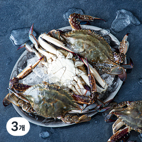 피시원 신진도 산지직송 가을 자망 햇꽃게, 1kg(3~4미), 3개