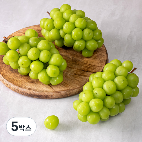 산지직송 아주마 비파괴 당도선별 영동 상주산 샤인머스켓, 2kg, 5박스