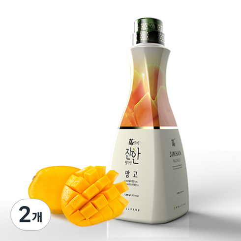 웰파인 더진한 망고 농축액, 1.5kg, 2개