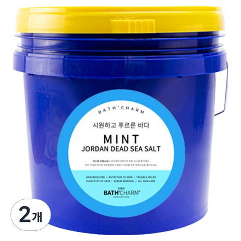 바스참 요르단 사해소금 민트, 10kg, 2개