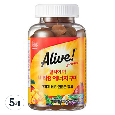 얼라이브 비타B 에너지 구미 90p, 261g, 5개