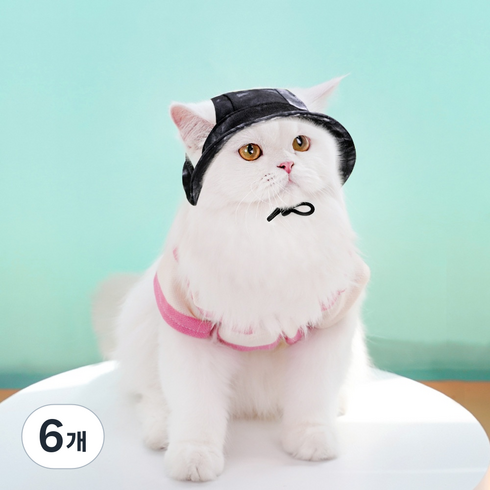 순잠 반려동물 벙거지 햇빛가리개 모자, 블랙, 6개