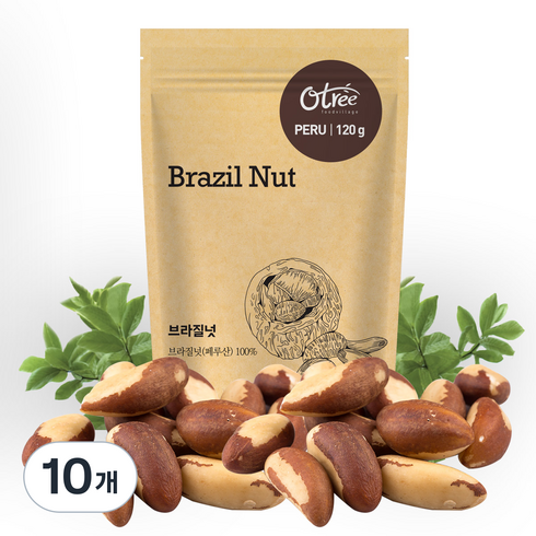 오트리 브라질넛, 120g, 10개