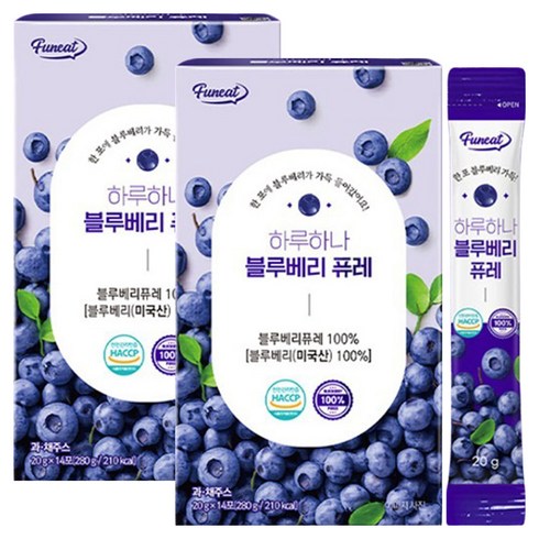 퍼니트 하루하나 블루베리 퓨레, 20g, 28개