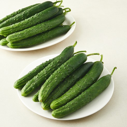 취청오이 5kg(20~28입), 5kg, 1박스, 20~28입