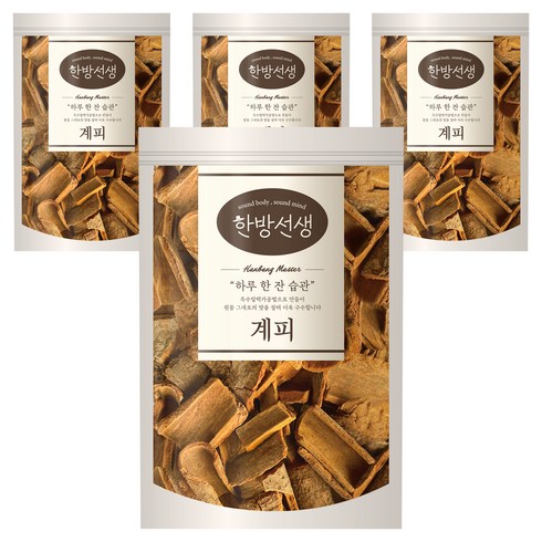 한방선생 사각 계피, 100g, 1개입, 4개