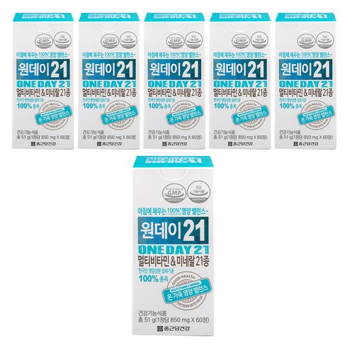 종근당건강 원데이21 멀티비타민 앤 미네랄, 60정, 6개