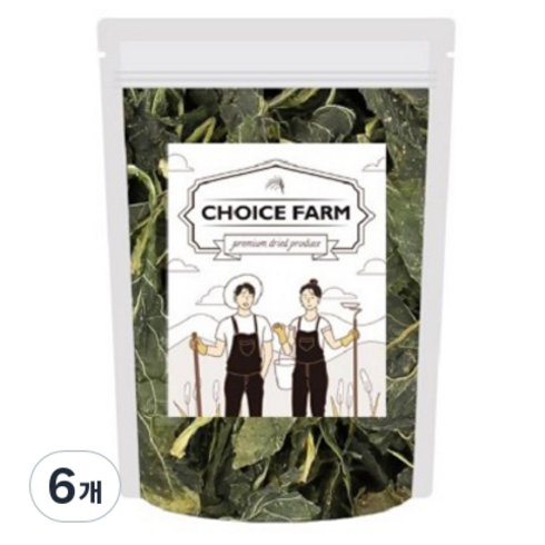 초이스팜 건취나물, 6개, 100g
