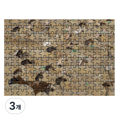 다모아 시험관퍼즐 양의무리들, 150피스, 혼합 색상, 3개