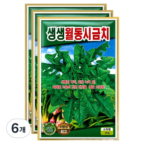씨앗팜 생생 월동 시금치씨앗 재래종, 6개