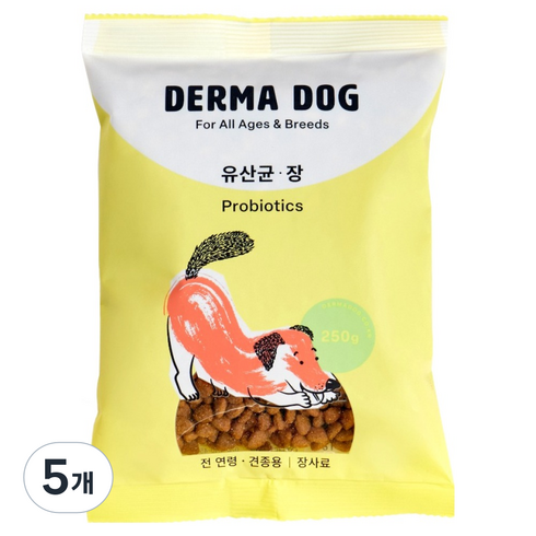 더마독 전연령 강아지 유산균 장 건식사료, 장건강/유산균, 250g, 5개