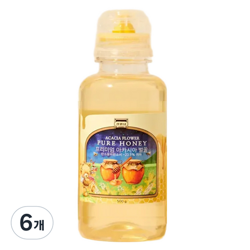 정원담 프리미엄 자연 아카시아 순수 벌 꿀, 6개, 500g