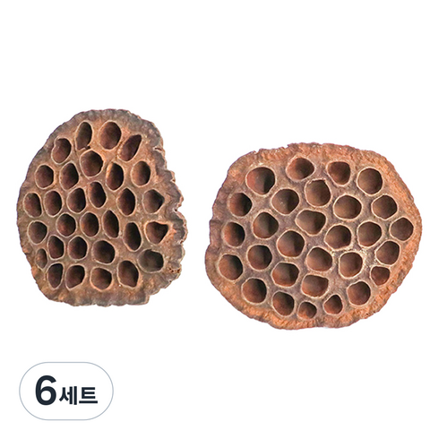 조류용 연자방 2종 세트, 브라운, 6세트