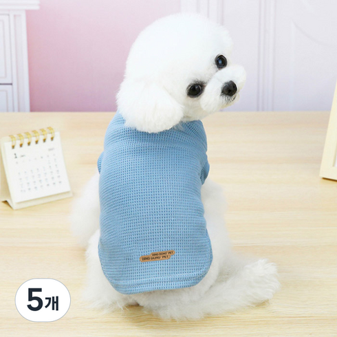 딩동펫 반려동물 데일리 티셔츠, 블루, 5개
