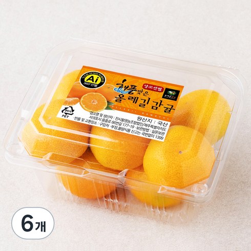 올레길 AI 당도선별 11brix 감귤, 500g(로열과), 6개