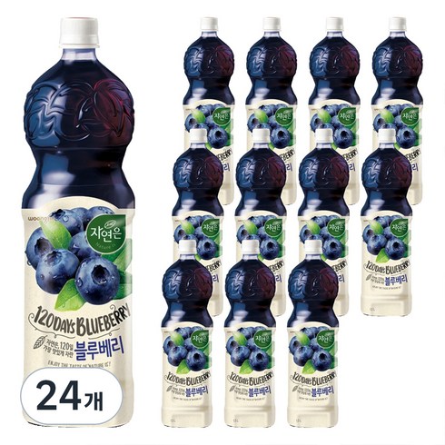 자연은 블루베리 주스, 1.5L, 24개