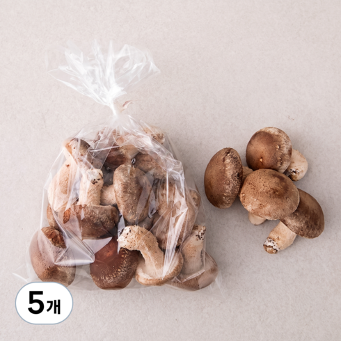 국내산 표고버섯, 300g, 5개