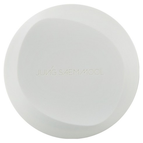 정샘물 프로래스팅 결핏 메쉬 쿠션 14g SPF50+ PA++++, 22 라이트, 1개