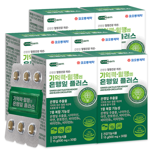 코오롱제약 기억력 혈행엔 은행잎 플러스, 30정, 6개