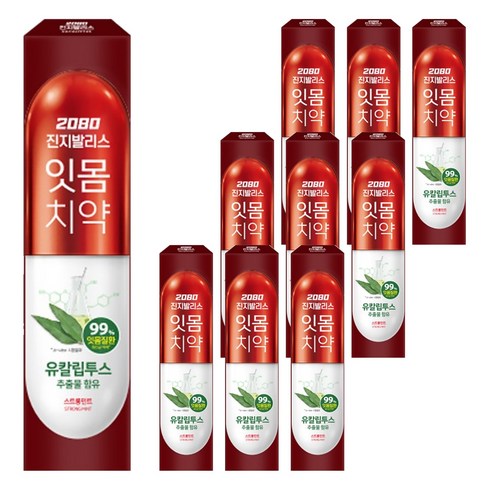 2080 진지발리스 잇몸치약 스트롱민트 유칼립투스향, 150g, 10개