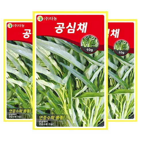 다농 공심채 씨앗, 3개