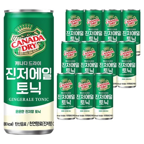 캐나다드라이 진저에일 토닉, 250ml, 12개