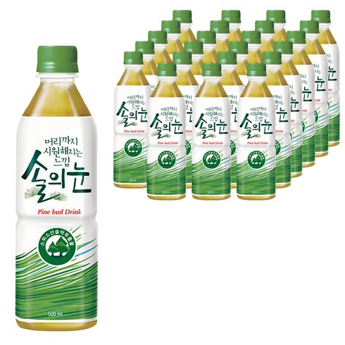 롯데칠성음료 솔의눈, 500ml, 24개