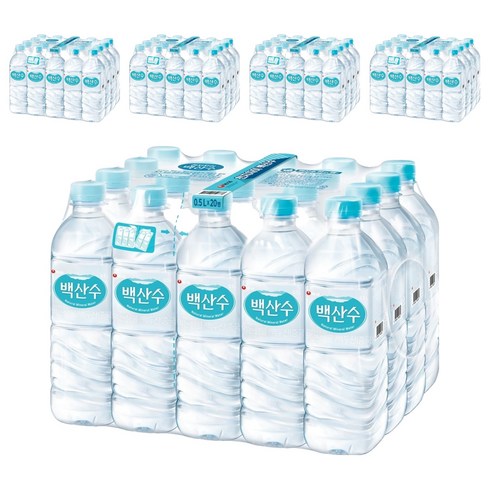 백산수, 500ml, 100개