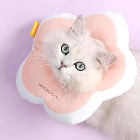 딩동펫 반려동물 데이지 꽃잎 넥카라, 핑크, 1개
