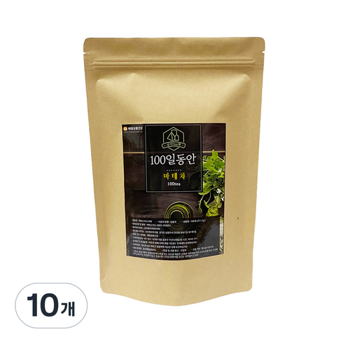 정앤정 100일동안 삼각티백 마테차, 1.2g, 100개입, 10개