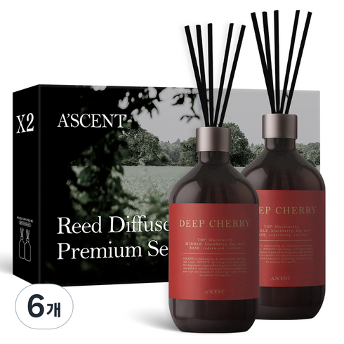 에이센트 퍼퓸드 디퓨저, 딥체리, 500ml, 6개