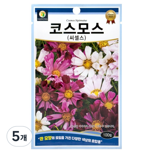 다농 코스모스 씨셀스 씨앗 100p, 5개