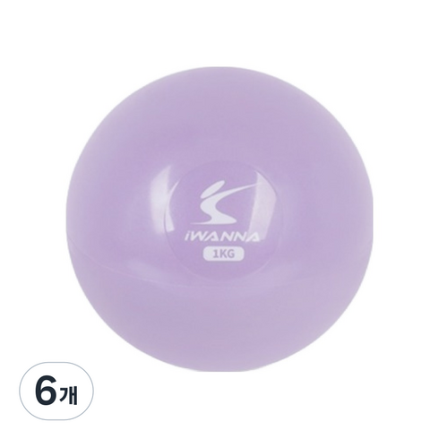 아이워너 토닝 웨이트볼, 오키드퍼플, 1kg, 6개