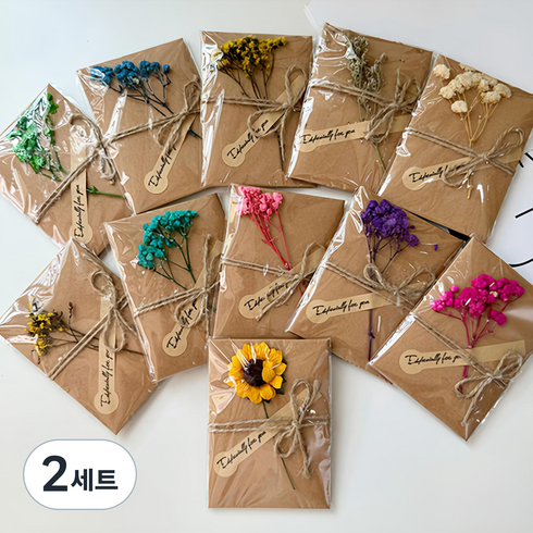 세븐집 드라이플라워 축하 감사 카드 10종 세트, 혼합색상, 2세트