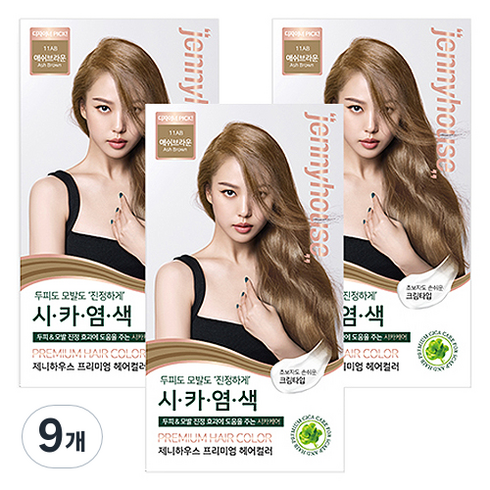 제니하우스코스메틱 프리미엄 헤어컬러 염모제, 애쉬브라운11AB, 9개
