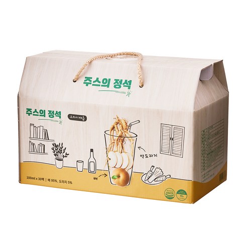 주스의정석 도라지배즙, 30개, 100ml